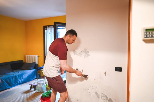Best Attic Mold Removal  in Shokan, NY